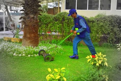 JS Horticultural Services